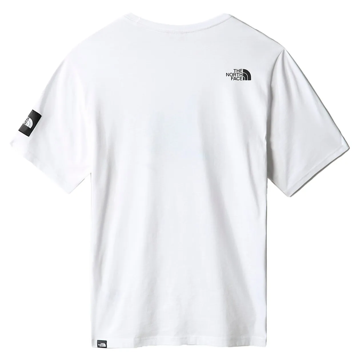 THE NORTH FACE - ALFIE KUNGU GRAPHIC S/S TEE