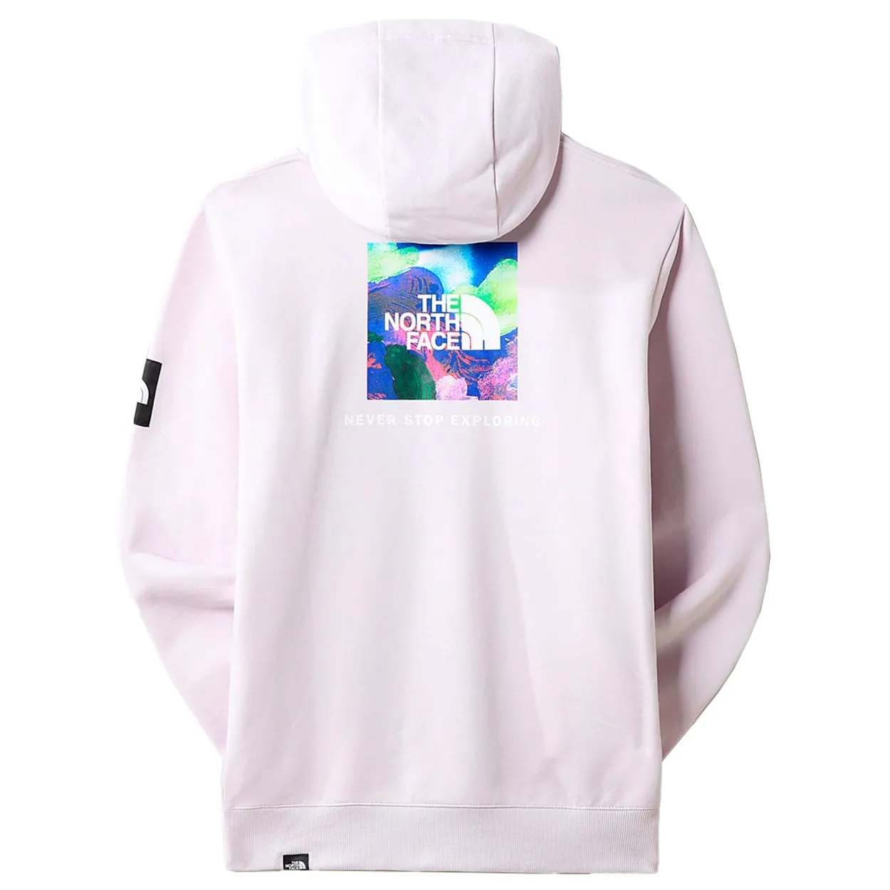 THE NORTH FACE - PATCH GRAPHIC HOODIE